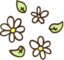 desenho de giz de flores png