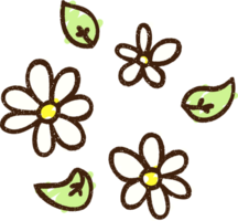 dessin à la craie de fleurs png