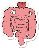 sticker of a cartoon repaired intestines png