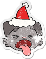 hand drawn distressed sticker cartoon of a dog face wearing santa hat png