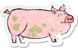 retro distressed sticker of a cartoon muddy pig png