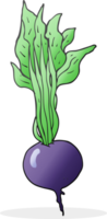 hand drawn cartoon beetroot png