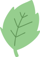 simple cartoon leaf png