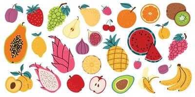 Large set of fruits and berries. Collection of organic vitamins and healthy nutrition. Banana, strawberry, papaya, kiwi, apricot, orange. Hand drawn style, isolated white background. vector