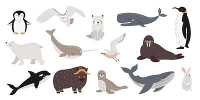 set of wild polar animals, marine mammals and birds. Collection of cute Arctic animals. Whale, narwhal, walrus, polar owl, polar bear, penguins. illustration in flat style. White background. vector