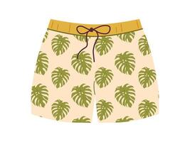 Men swim trunks and underpants. Colorful underwear clothing. Classic underclothing isolated models vector