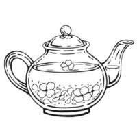 tetera de té con sano té, jazmín. mano dibujado ilustración en contorno estilo. vector