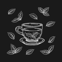 Cup of tea with mint leaves. Hand drawn illustration in outline style. vector