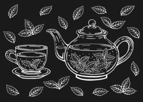 Tea set with healthy green tea, mint leaves. Teapot and cup. Hand drawn illustration in outline style. vector