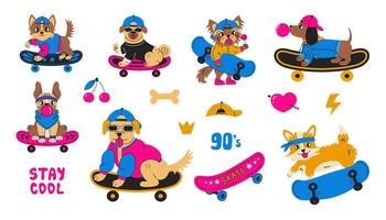 Dog Skateboard cartoon set vector