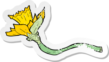 pegatina retro angustiada de una flor de narciso de dibujos animados png