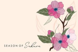 Spring cherry blossom Sakura bloom floral vector