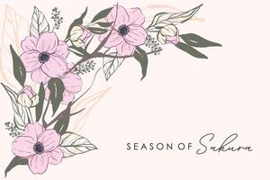 Spring cherry blossom Sakura bloom floral vector