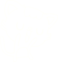 Happy Cat Chalk Drawing png