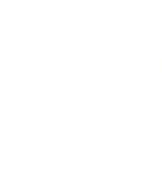 disegno del gesso dell'albero png