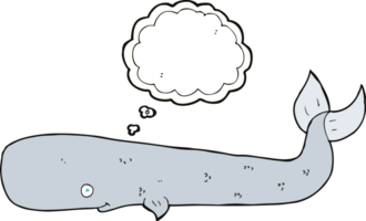 cartoon whale with thought bubble png