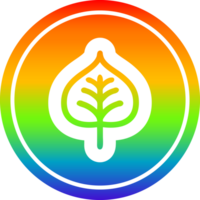 natural leaf circular icon with rainbow gradient finish png