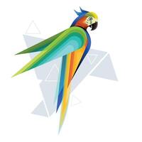 Colored parrot birds with white Background vector