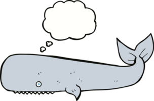 cartoon whale with thought bubble png