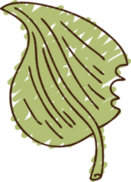 Leaf Chalk Drawing png