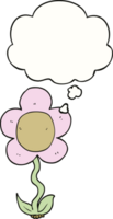 cartoon flower with thought bubble png