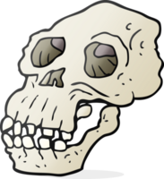 hand drawn cartoon ancient skull png