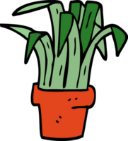 cartoon doodle kamerplant png