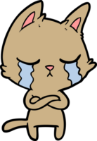 crying cartoon cat with folded arms png