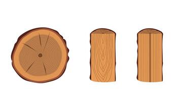 Main types of trunk cuts vector