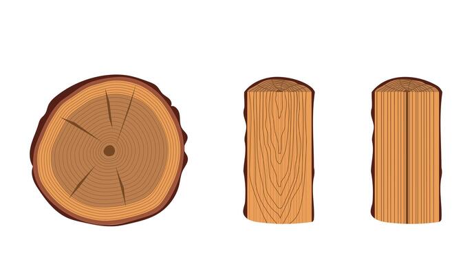 Main types of trunk cuts