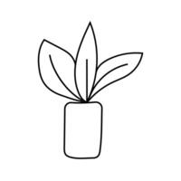 indoor plant doodle. isolated on white background vector