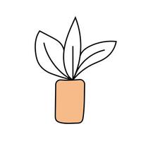 indoor plant doodle. isolated on white background vector