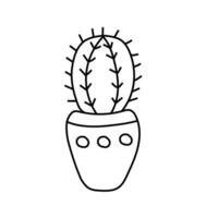 Cactus doodle. illustration, isolated on white background vector