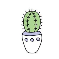 Cactus doodle. illustration, isolated on white background vector