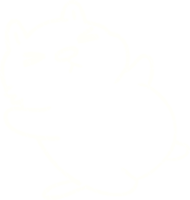 desenho de giz de gato png