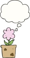 cute cartoon flower with thought bubble png