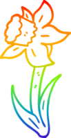 rainbow gradient line drawing of a cartoon daffodil png