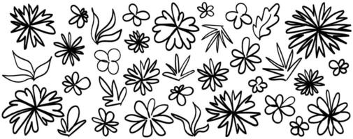 Collection of hand drawn graphic flower and leaves. Floral clip art elements. Ink or charcoal graphic elements vector
