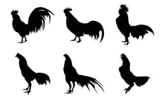 Set of rooster silhouettes isolated white background vector