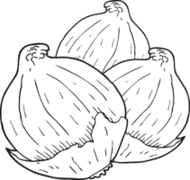 hand drawn black and white cartoon onions png