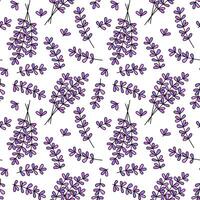 Lavender flowers pattern. seamless background. Cute doodle floral blossom pattern. vector