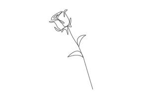 Rose continuous one line drawing premium illustration vector