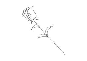 Rose continuous one line drawing premium illustration vector