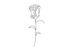 Rose continuous one line drawing premium illustration vector