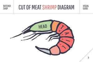 cortar de carne colocar. póster Carnicero diagrama y esquema - camarón vector