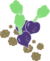 flat color illustration of beetroot png