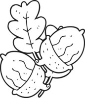 hand drawn black and white cartoon acorns png