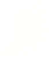 cartoon doodle angel wings png