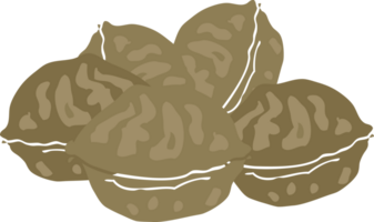 flat color illustration of walnuts png