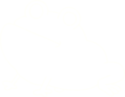 Big Frog Chalk Drawing png